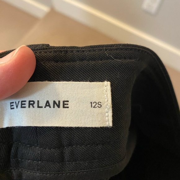 Everlane The Way High Drape Pant. Black, 12 short, high rise, wide leg, pleats. - Picture 9 of 10